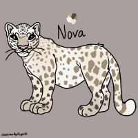 Thumbnail for ANI-3825: Albino Amur Leopard (F)