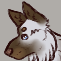 Thumbnail for ANI-3826: Grey Wolf x Hybrid Canine (M)