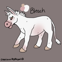 Thumbnail for ANI-3830: Albino Donkey (F)