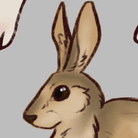 Thumbnail for ANI-3836: Riveri