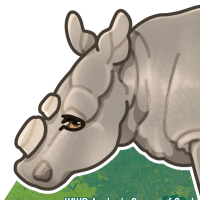 Thumbnail for ANI-3838: Northern White Rhinoceros (M)