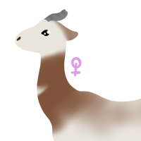 Thumbnail for ANI-3850: Safi
