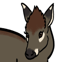 Thumbnail for ANI-3864: Tufted Deer (F)
