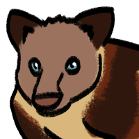 Thumbnail for ANI-3865: Goodfellow's Tree Kangaroo (F)