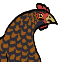 Thumbnail for ANI-3866: Chicken Brahma  (F)