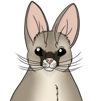 Thumbnail for ANI-3891: Bruno
