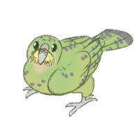 Thumbnail for ANI-3895: Species-Specific Kakapo (F)