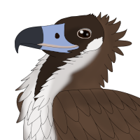 Thumbnail for ANI-3896: Pine