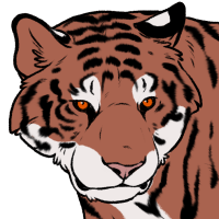 Thumbnail for ANI-3916: Bengal Tiger (M)