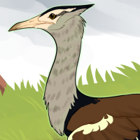 Thumbnail for ANI-3934: Kori Bustard (M)