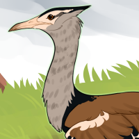 Thumbnail for ANI-3935: Kori Bustard (F)