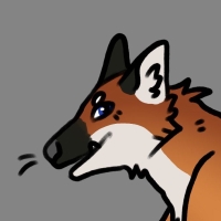 Thumbnail for ANI-3949: Red Fox (M)