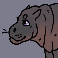 Thumbnail for ANI-3950: Pygmy Hippopotamus (F)