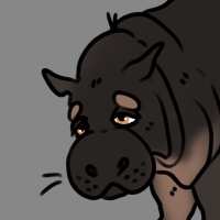 Thumbnail for ANI-3951: Pygmy Hippopotamus (M)