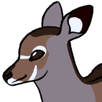 Thumbnail for ANI-3956: Greater Kudu (F)