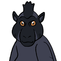 Thumbnail for ANI-3962: Celebes Crested Macaque (F)