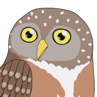 Thumbnail for ANI-3965: Pernambuco Pygmy Owl (M)