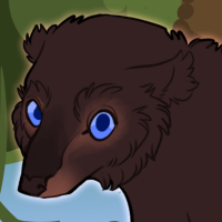 Thumbnail image for ANI-3969: Blue-Eyed Black Lemur (M)