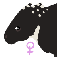 Thumbnail for ANI-3971: Crested Porcupine (F)