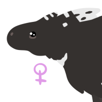 Thumbnail for ANI-3972: Crested Porcupine (F)