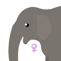 Thumbnail for ANI-3977: Asian Elephant (F)