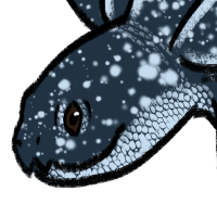 Thumbnail for ANI-3985: Leatherback Sea Turtle (M)