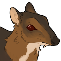 Thumbnail for ANI-3987: Lesser Mouse-deer (M)