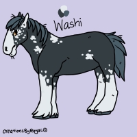 Thumbnail for ANI-3992: Domestic Horse Shire  (M)