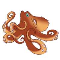 Thumbnail for ANI-3997: Giant Pacific Octopus (F)