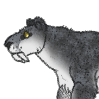 Thumbnail for ANI-3999: Smilodon (F)