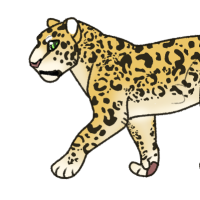Thumbnail for ANI-4001: African Leopard (F)