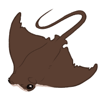 Thumbnail for ANI-4003: Cownose Ray (M)