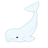 Thumbnail for ANI-4005: Beluga Whale (F)
