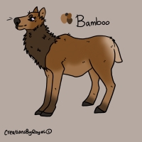 Thumbnail for ANI-4006: Elk (F)