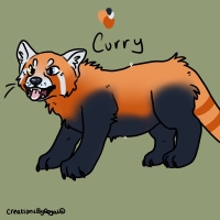 Thumbnail for ANI-4007: Red Panda (F)
