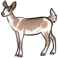 ANI-4012: Bleached Bones