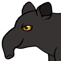 Thumbnail for ANI-4017: Malayan Tapir (F)