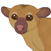 Thumbnail for ANI-4030: Vine