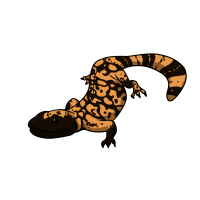 Thumbnail for ANI-4032: Morticia