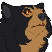 Thumbnail for ANI-4040: Spectacled Bear (M)
