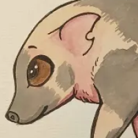 Thumbnail for ANI-4056: Domestic Hog Pot-Bellied  (M)