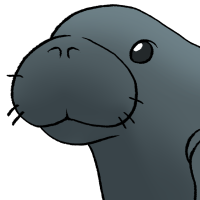 Thumbnail for ANI-4062: Manatee (F)