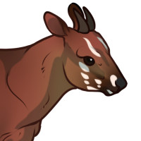 Thumbnail for ANI-4082: yusri