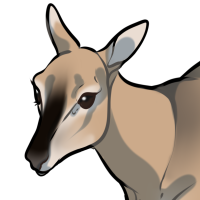 Thumbnail of ANI-4083: bacia