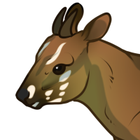 Thumbnail for ANI-4084: nur