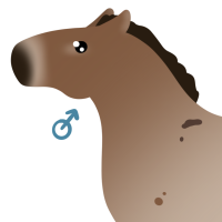 Thumbnail image for ANI-4088: Baatar