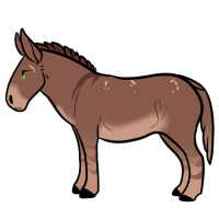 Thumbnail for ANI-4096: Thor