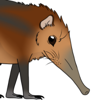 Thumbnail for ANI-4100: Pendo