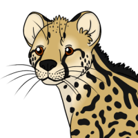 Thumbnail image for ANI-4103: Kgosi