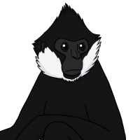 Thumbnail for ANI-4106: Farhan